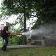 Galeria Zdjęć, Dezynsekcja, Kontrola szkodników, Fumigacja, Gliwice, Śląsk