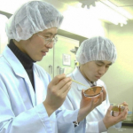 Monitoring DDD  GHP/GMP HACCP, Zabezpieczenie przed ptakami, Dezynfekcja, Likwidacja zapachów, Gliwice, Śląsk