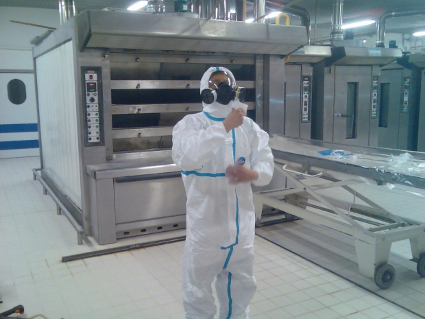 OCHRONA PRZED SZKODNIKAMI PEST-CONTROL GHP/GMP-HACCP, Dezynsekcja, Kontrola szkodników, Gliwice, Śląsk