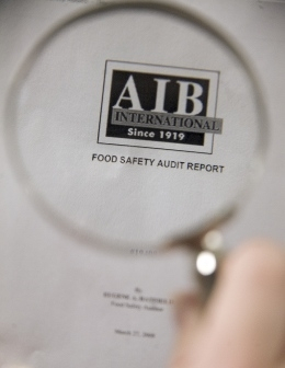 Standard AIB (American Institute of Baking), Deratyzacja, Fumigacja, Gliwice, Śląsk