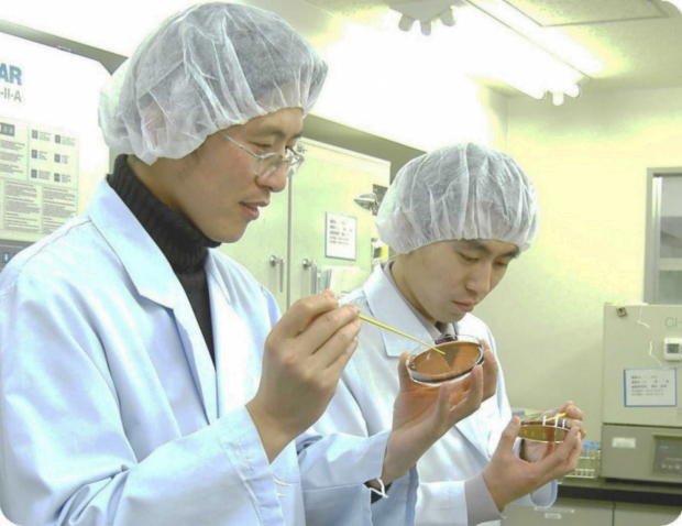 Monitoring DDD  GHP/GMP HACCP, GHP, Zabezpieczenie obiektu przed szkodnikami, Gliwice, Śląsk