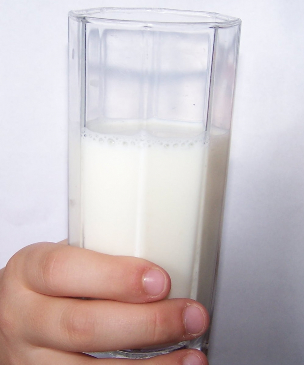 Mleko w proszku, które może być zanieczyszczone trutką, Monitoring ddd, Bezpieczna deratyzacja, Gliwice, Śląsk