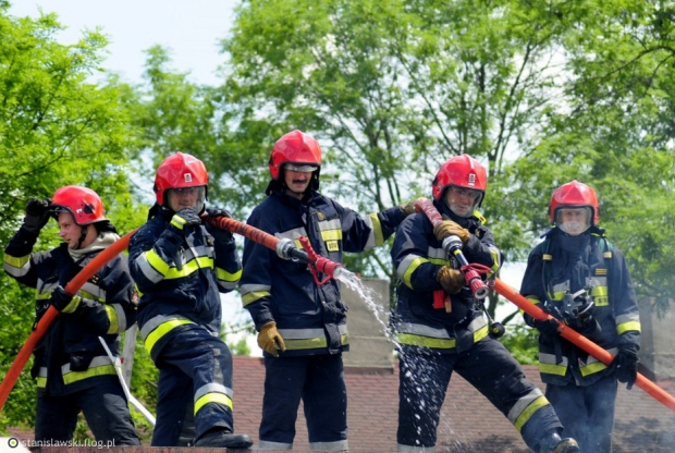 Usuwanie os, szerszeni straż pożarna, HACCP, Kontrola szkodników, Gliwice, Śląsk